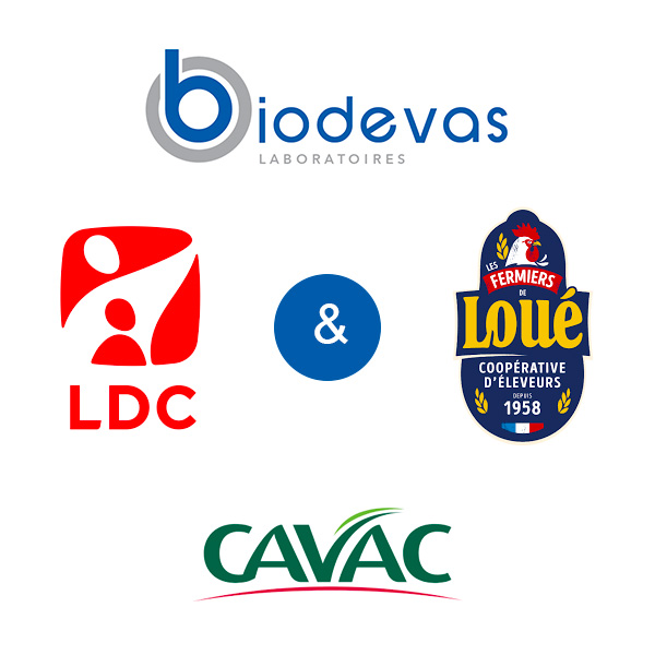 biodevas LDC, Loué et cavac