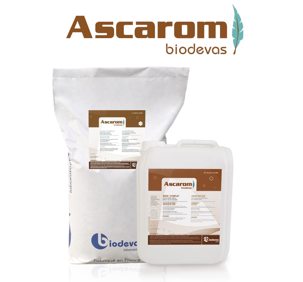 ascarom biodevas bidon et sac
