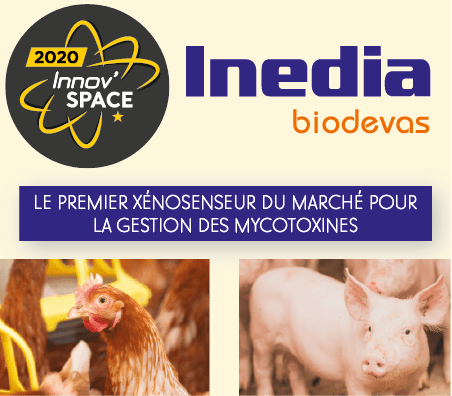 INEDIA inov space 2022