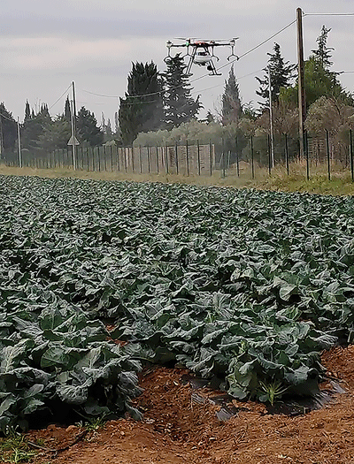 pulvérisation courges drone