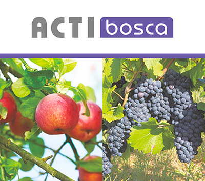 Acti bosca